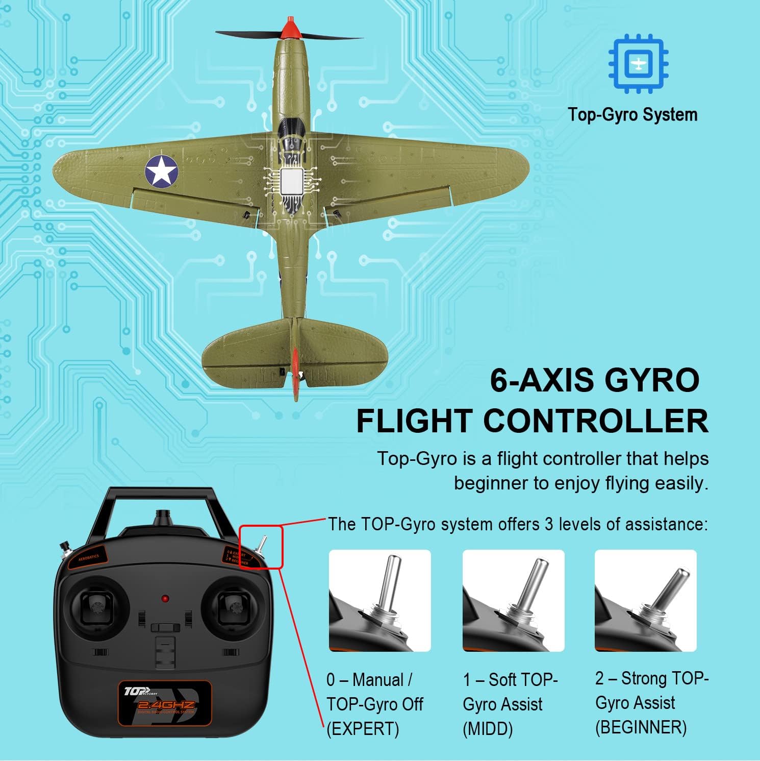 Ready-to-Fly 4-Channel RC Warb - Model Airplane Plastic avaliação e preço
