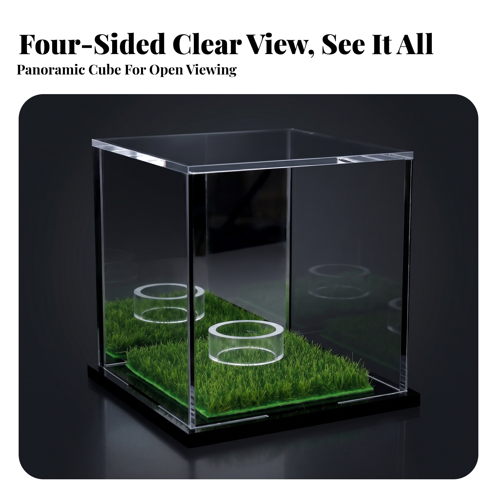 Acrylic Display Case Easy to C - Display Case Acrylic avaliação e preço