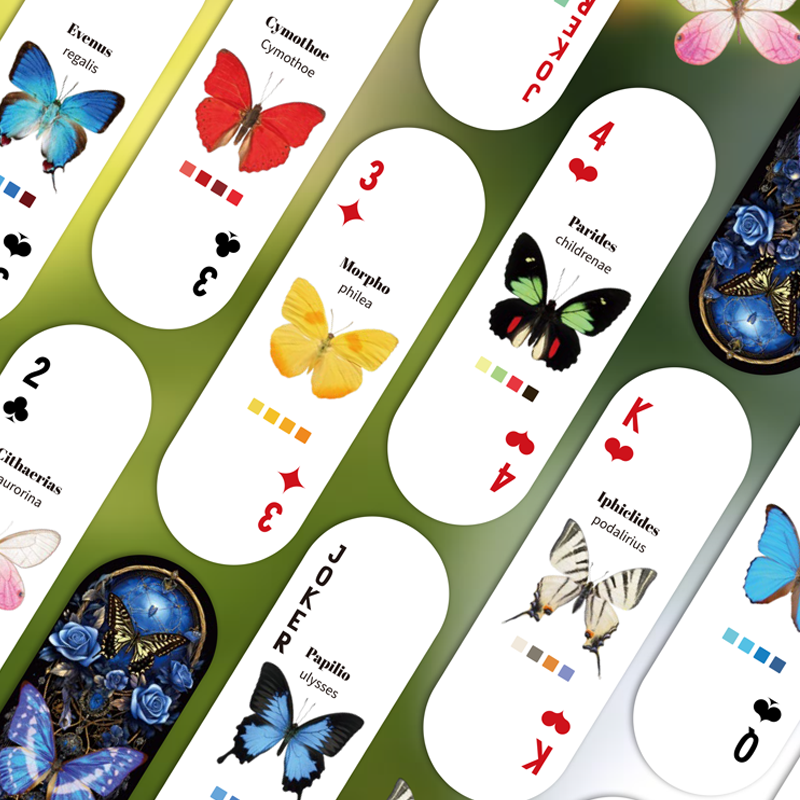 Mr.Paper Table Card Game 54/Bo - Graded Card Display avaliação e preço